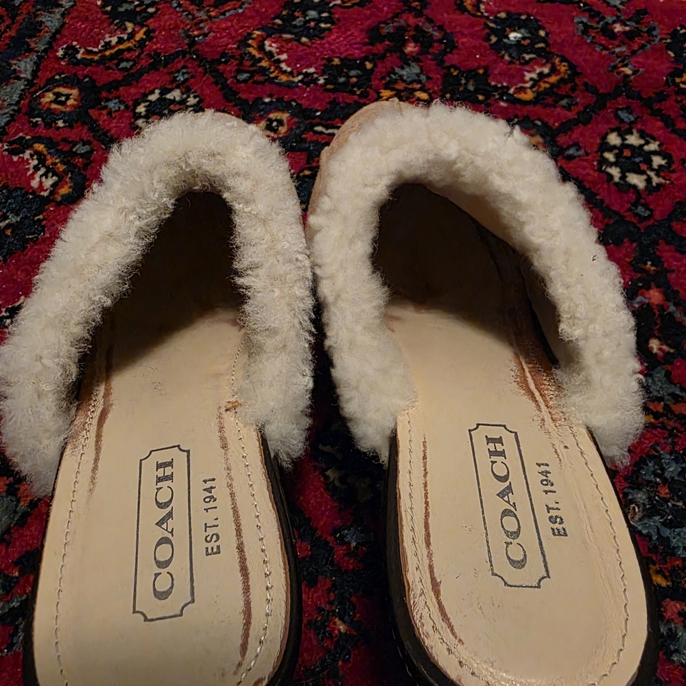 COACH - Suede Leather Faux Fur Clog Heels - Perfect For Winter! - Picture 2 of 7